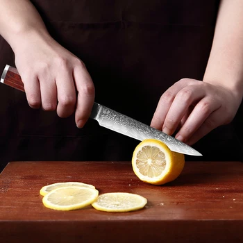 XITUO Şam Maket Bıçağı Japon 67 Katmanları Şam Çelik 5 İnç Biftek Soyma Küçük Soyma Bıçakları Şef Mutfak Aracı N