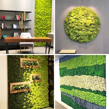 20G Yüksek Kaliteli Kuru Yosun Yapay Yeşil Bitki Ölümsüz Sahte Çiçek Yosun Çim Ev Odası Dekoratif Duvar DIY Mini Aksesuarları