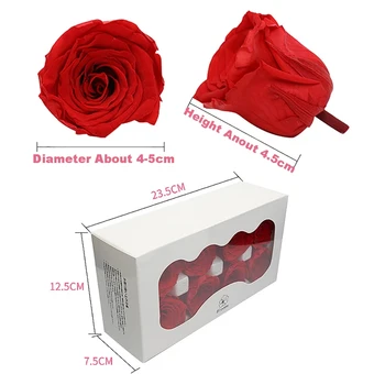 8 adet / kutu 4-5cm DIY Doğal yapay çiçekler Ölümsüz Gül Kafa Kurutulmuş Gül Düğün Dekor Doğum Günü sevgililer Günü Hediyeleri